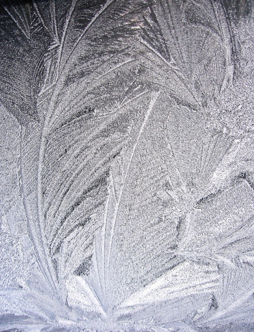 frost-on-back-windowimg_3024